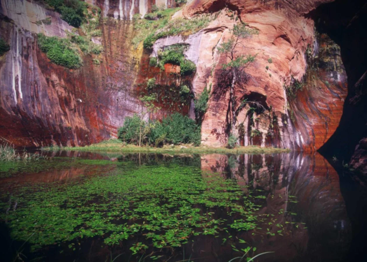 Red Mountain Resort Utah coyote gulch hidden pool